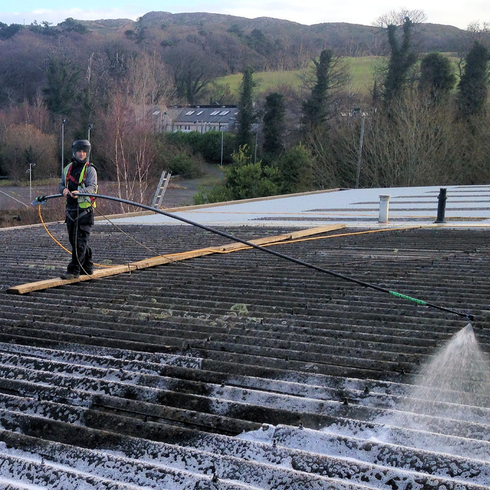 Roof Moss Removal and Biocide Treatment
